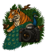 D850WildlifeSafari Logo